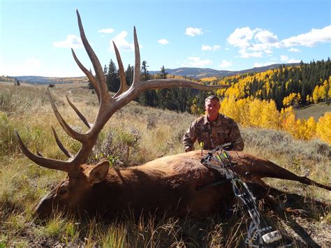 For the optimum hunting experience you need Samuelson Outfitters LLC. . Colorado elk hunting outfitters